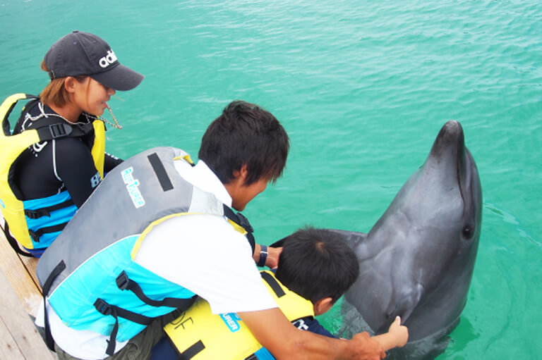 Dolphin Fantasy石垣島